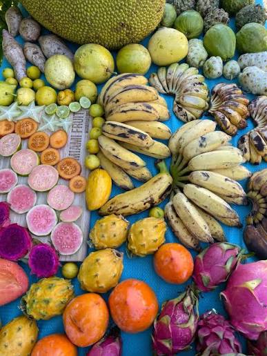 Fruits